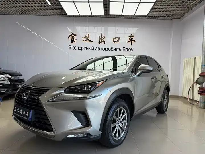 Lexus NX 2020 200 FWD Luxury Edition China VI - View 1