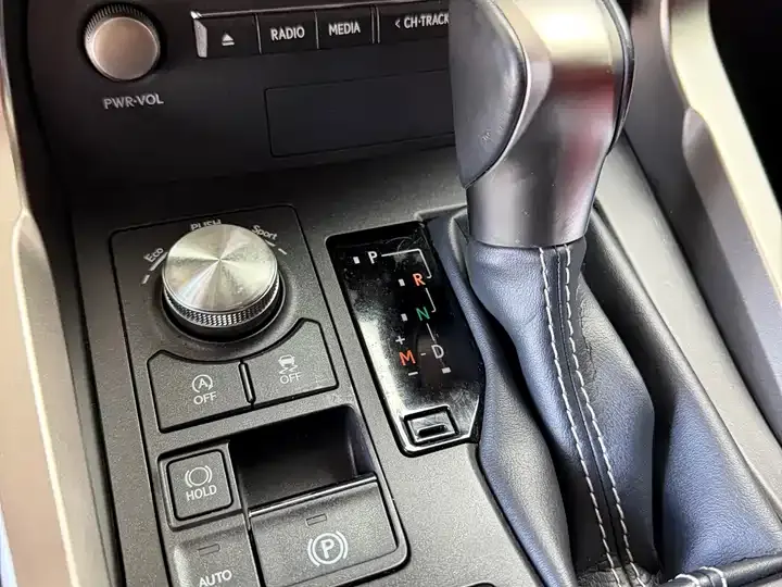 Lexus NX 2020 200 FWD Luxury Edition China VI 11