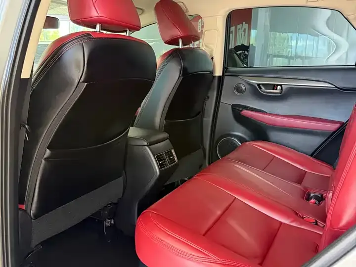 Lexus NX 2020 200 FWD Luxury Edition China VI 12