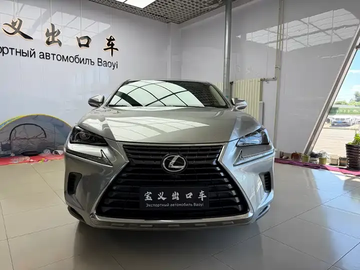 Lexus NX 2020 200 FWD Luxury Edition China VI 2