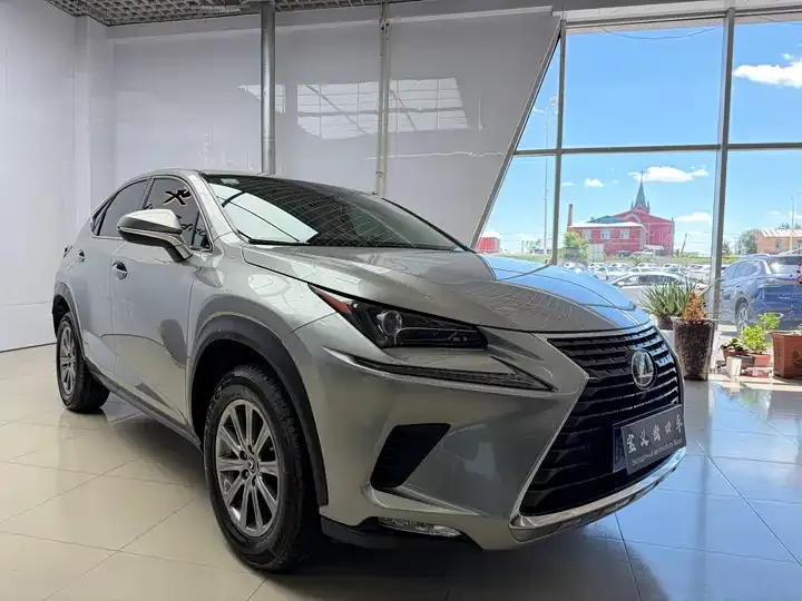 Lexus NX 2020 200 FWD Luxury Edition China VI 3