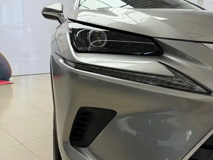 Lexus NX 2020 200 FWD Luxury Edition China VI 4