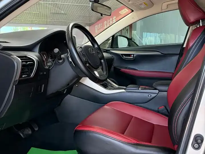 Lexus NX 2020 200 FWD Luxury Edition China VI 7