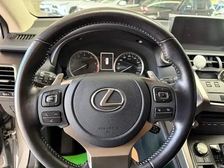 Lexus NX 2020 200 FWD Luxury Edition China VI 9