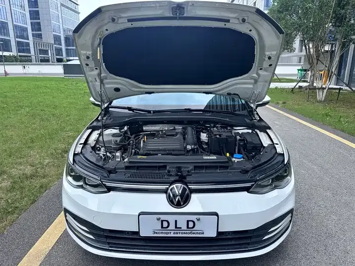 Golf 2021 280TSI DSG Pro 5