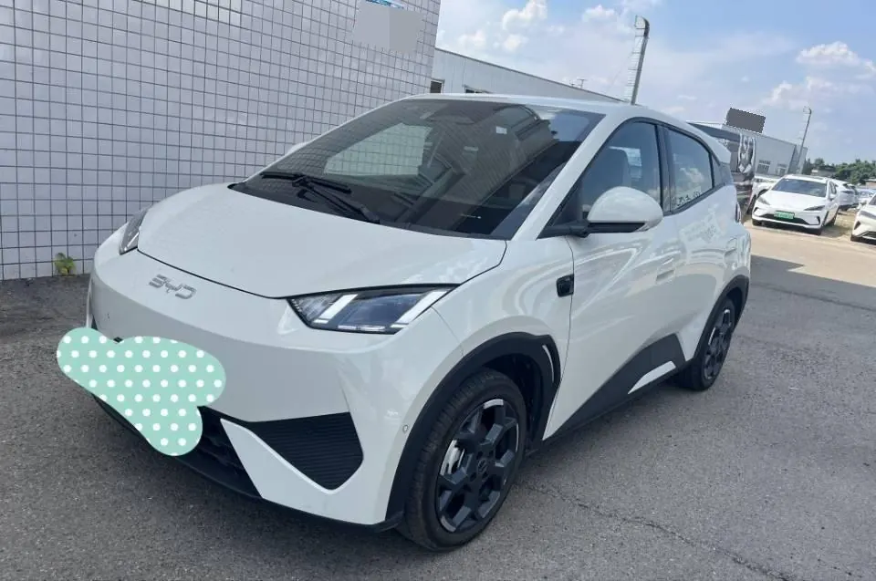 Открыть галерею: BYD 2025 seagulls 305km free version automatic gear