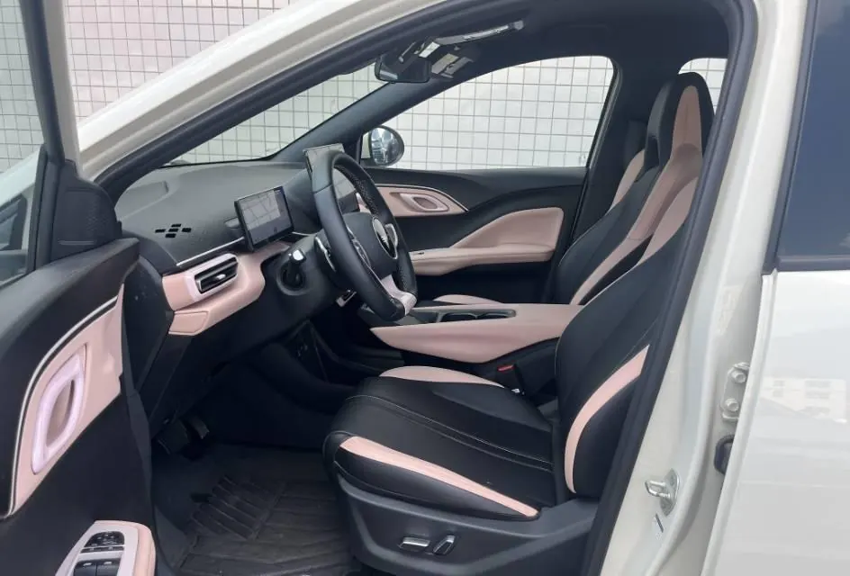 BYD 2025 seagulls 305km free version automatic gear 2