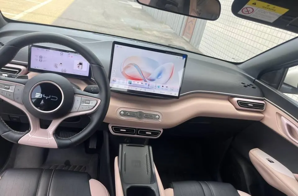BYD 2025 seagulls 305km free version automatic gear 4