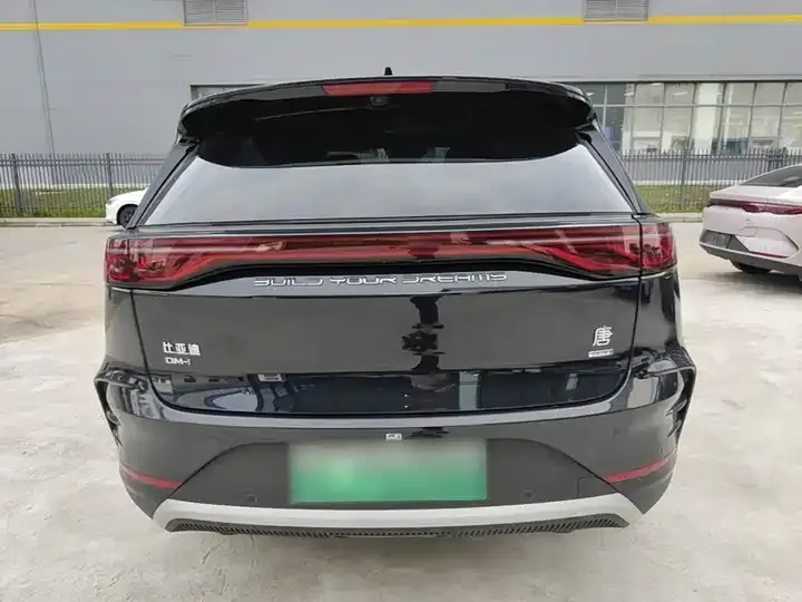 Tang New Energy 2025 Smart Driving Edition DM-i 115KM Flagship 6