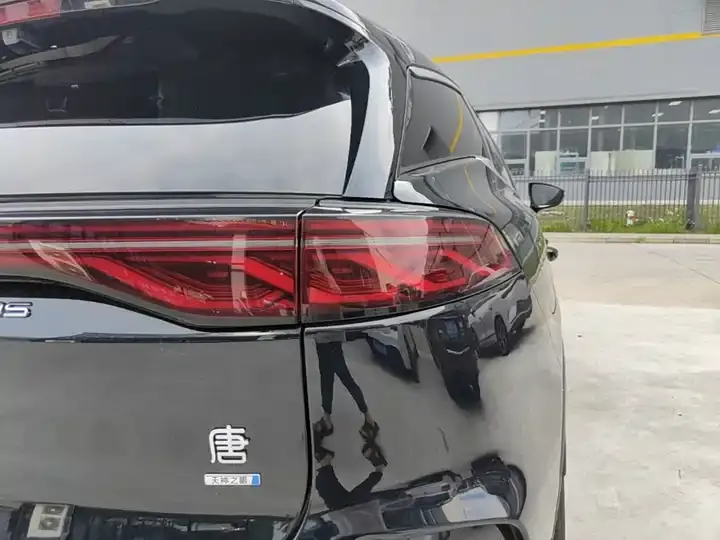 Tang New Energy 2025 Smart Driving Edition DM-i 115KM Flagship 8