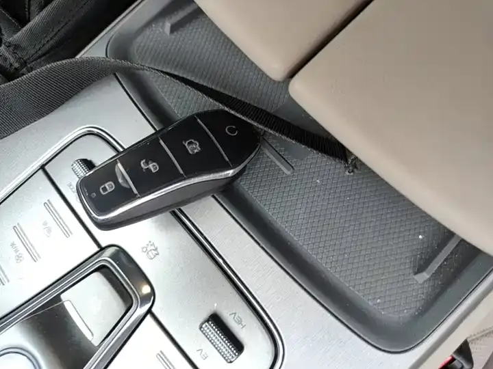 Tang New Energy 2025 Smart Driving Edition DM-i 115KM Flagship 9