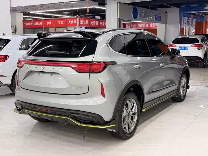 Haval Red Rabbit 2022 Jin Xiang Edition 1.5T Copper Rabbit 6