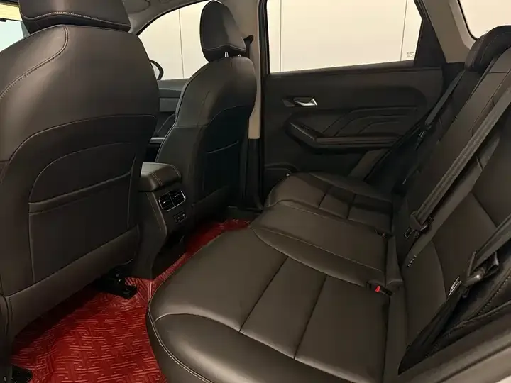 Haval Red Rabbit 2022 Jin Xiang Edition 1.5T Copper Rabbit 9