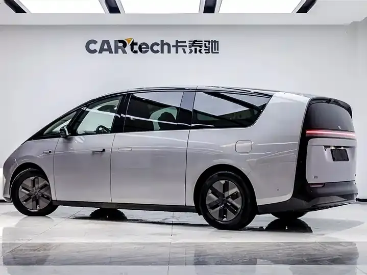 Li MEGA 2025 Ultra Smart Rejuvenation Edition 4