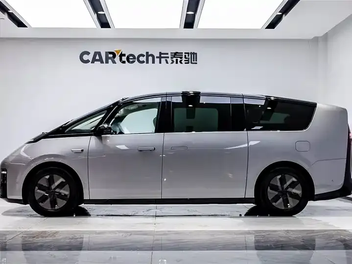 Li MEGA 2025 Ultra Smart Rejuvenation Edition 5