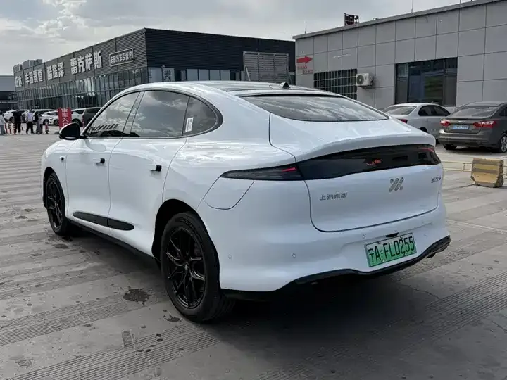 IM LS6 2026 extended range 52 Max 5