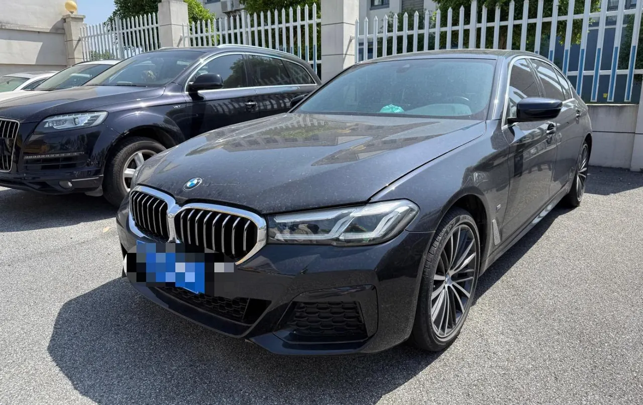BMW 5 Series 2023 530Li 2.0T Leading Luxury Suit Automatic Gear - View 1