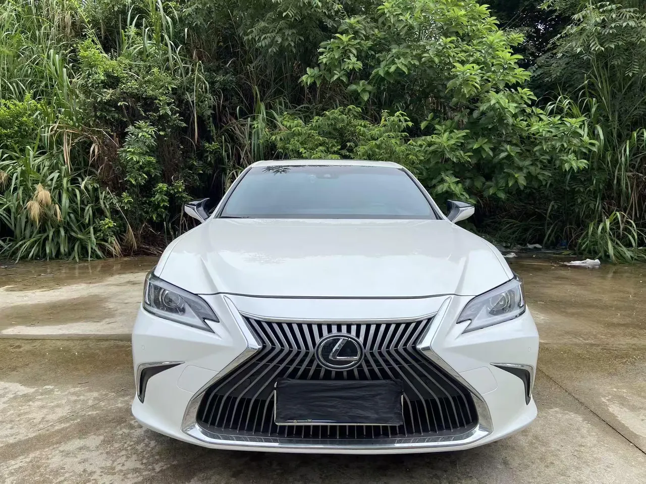 Lexus ES (Imported) 2021 ES200 2.0 Stepless Premium Edition Automatic Gear 3