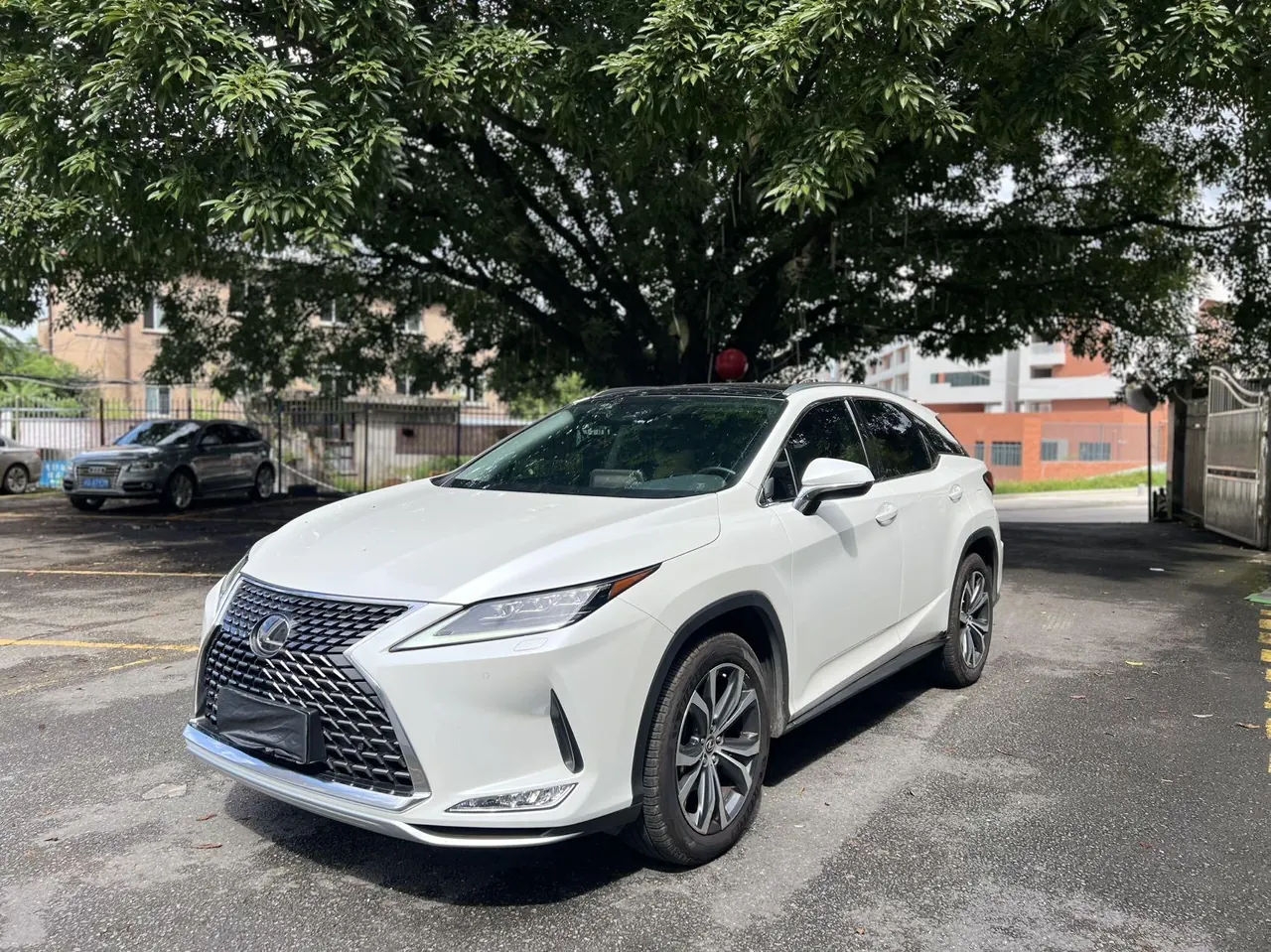 Lexus RX (Imported) 2021 RX300 2.0T Four-wheel Drive Special Edition Automatic Gear - View 1
