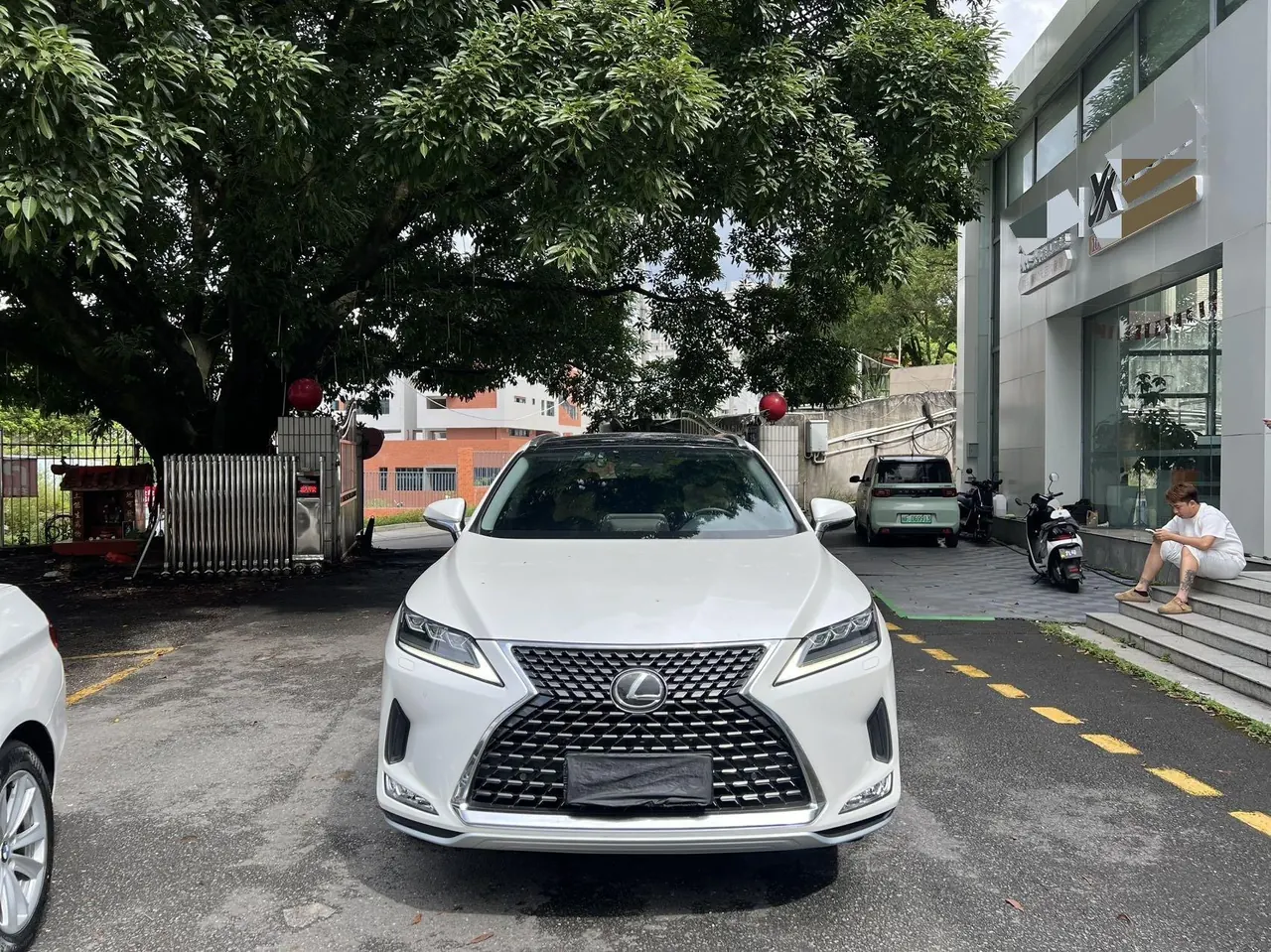 Lexus RX (Imported) 2021 RX300 2.0T Four-wheel Drive Special Edition Automatic Gear 2