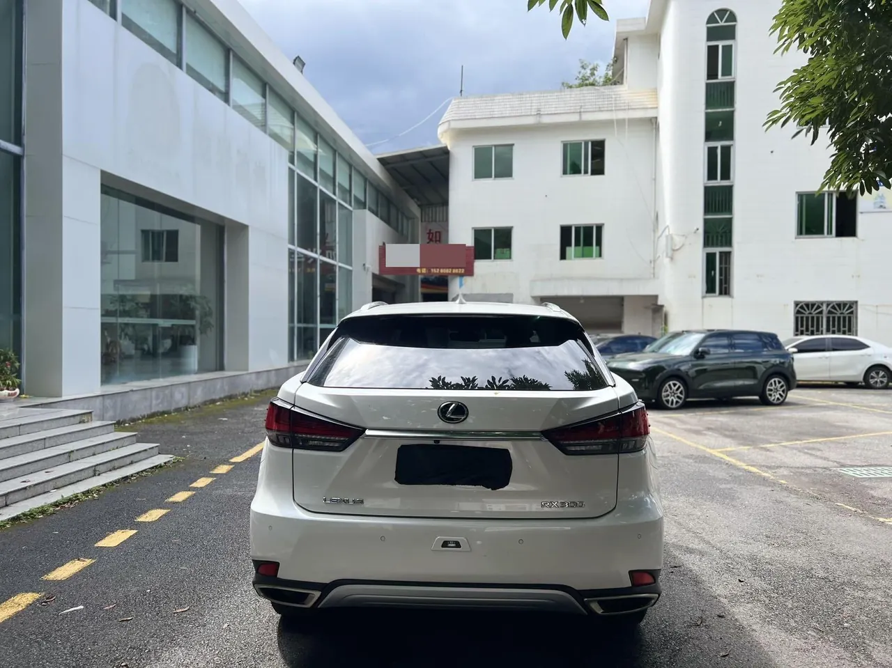 Lexus RX (Imported) 2021 RX300 2.0T Four-wheel Drive Special Edition Automatic Gear 4