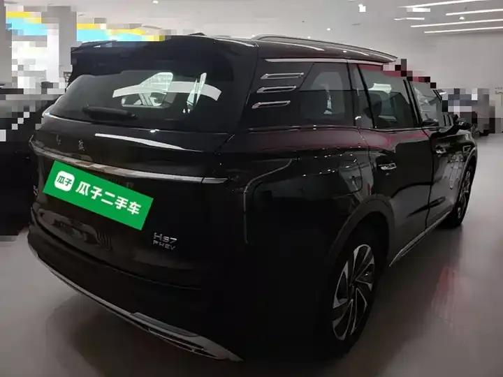 HongQi HS7 PHEV 2024 2.0T PHEV 4-wheel drive flag smooth version 6 seats 7