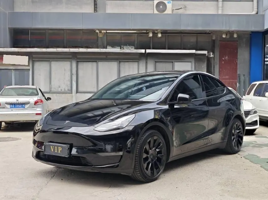 Tesla 2021 Model Y Standard Endurance Rear Drive Automatic Gear - View 1