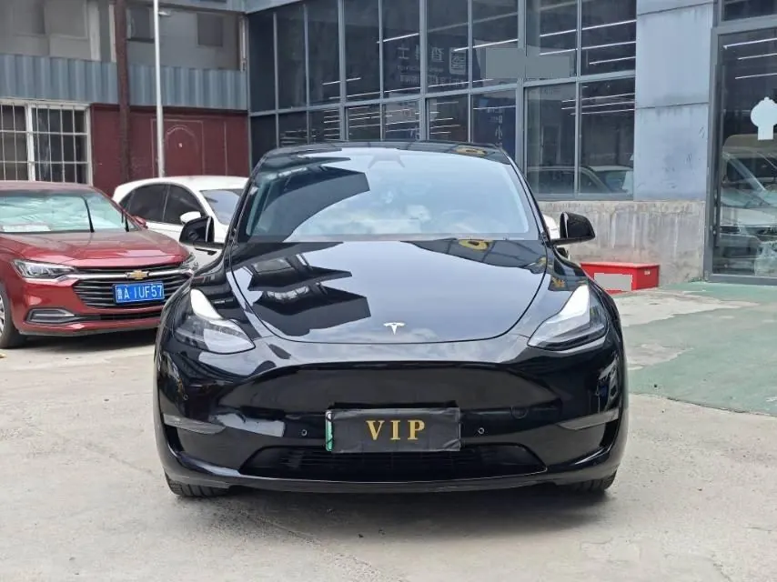 Tesla 2021 Model Y Standard Endurance Rear Drive Automatic Gear 2