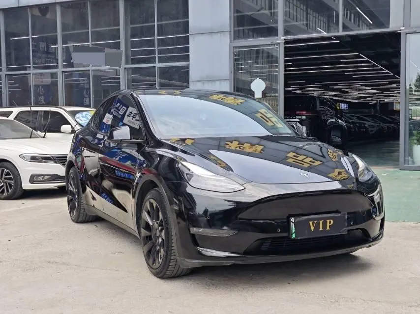 Tesla 2021 Model Y Standard Endurance Rear Drive Automatic Gear 3