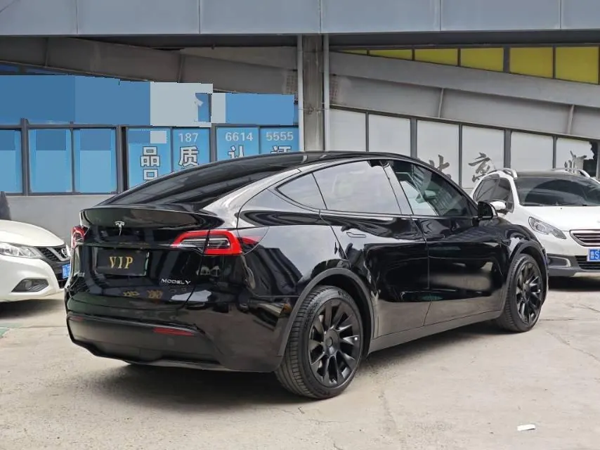 Tesla 2021 Model Y Standard Endurance Rear Drive Automatic Gear 4