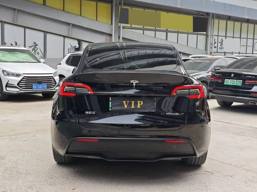 Tesla 2021 Model Y Standard Endurance Rear Drive Automatic Gear 5
