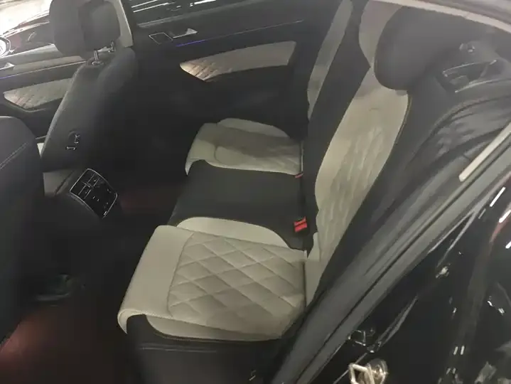 Magotan 2023 2 million Commemorative Edition 330TSI DSG Luxury 11