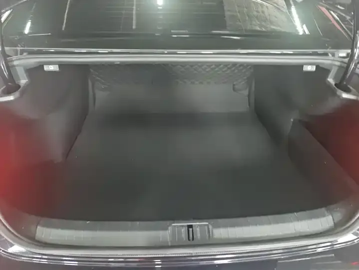Magotan 2023 2 million Commemorative Edition 330TSI DSG Luxury 4