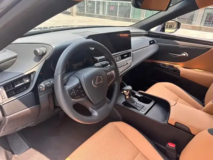 Lexus ES 2022 300h Premium Edition 10