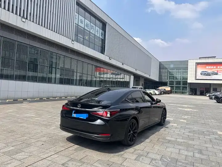 Lexus ES 2022 300h Premium Edition 6