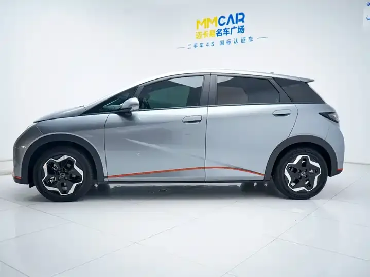 Dolphin 2021, 405 km, Fashion Edition 10
