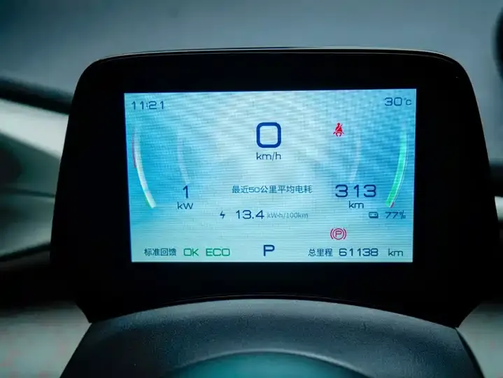 Dolphin 2021, 405 km, Fashion Edition 4