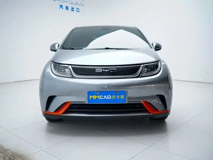 Dolphin 2021, 405 km, Fashion Edition 8
