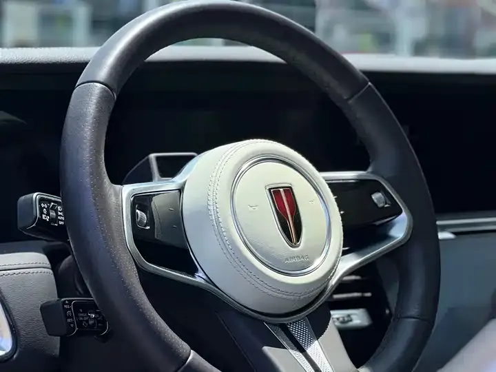 HongQi E-HS9 2021 510km flag Chang version of six 10