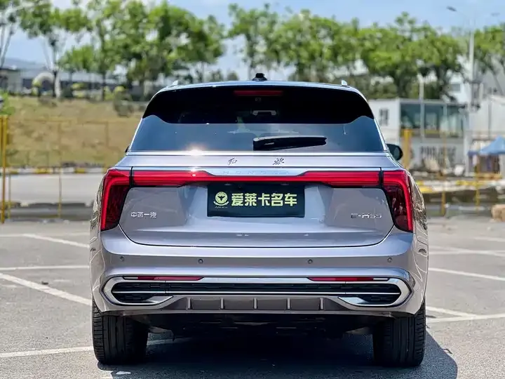 HongQi E-HS9 2021 510km flag Chang version of six 4