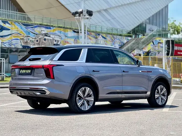 HongQi E-HS9 2021 510km flag Chang version of six 5
