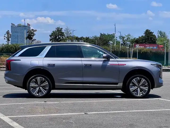 HongQi E-HS9 2021 510km flag Chang version of six 6