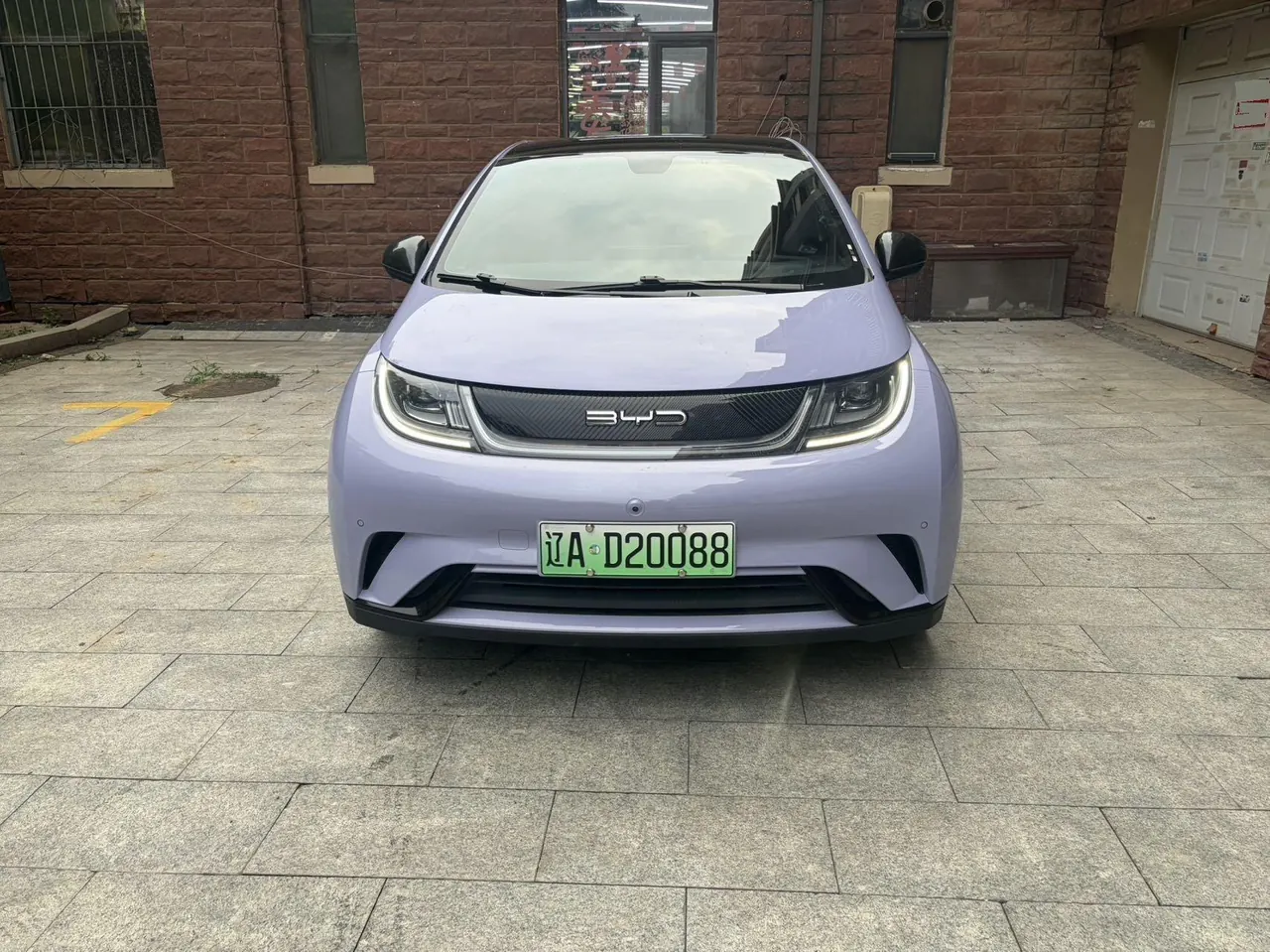 BYD 2023 Dolphin 420km Fashion Edition Automatic 2