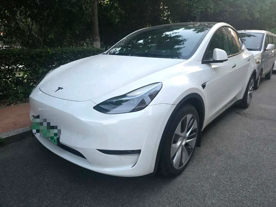 Tesla 2021 Model Y Standard Endurance Rear Drive Automatic Gear - View 1