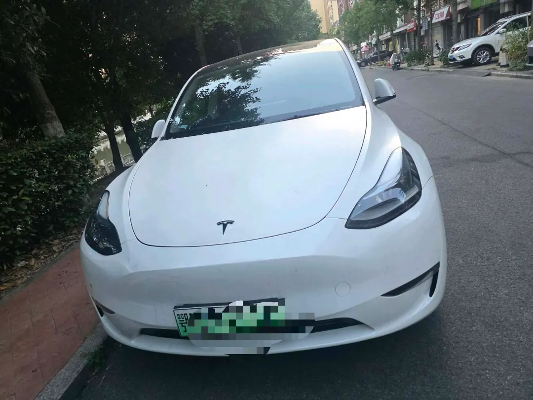 Tesla 2021 Model Y Standard Endurance Rear Drive Automatic Gear 2