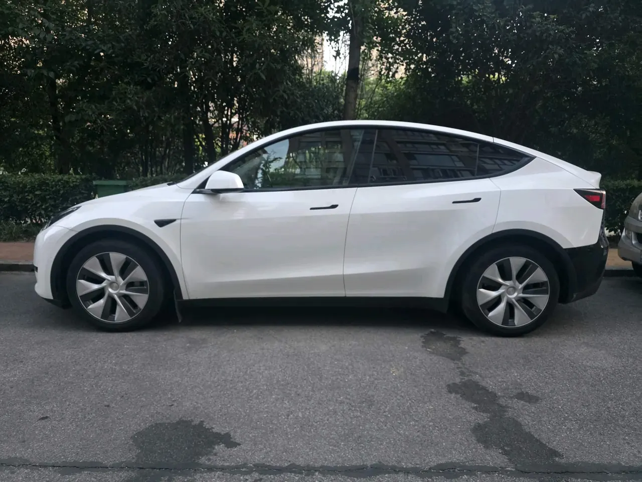 Tesla 2021 Model Y Standard Endurance Rear Drive Automatic Gear 3