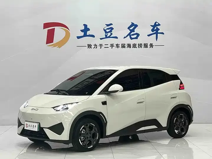 Seagull 2025 Intelligent Driving Version, 305 km, Freedom Edition - View 1