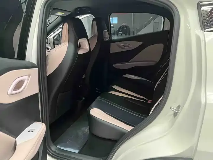Seagull 2025 Intelligent Driving Version, 305 km, Freedom Edition 10