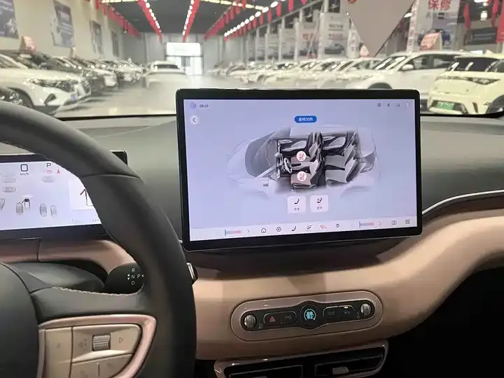 Seagull 2025 Intelligent Driving Version, 305 km, Freedom Edition 12