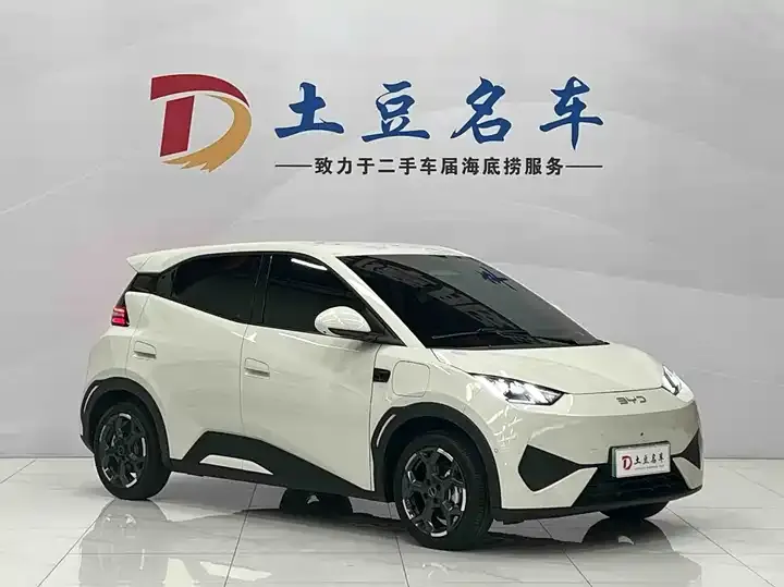 Seagull 2025 Intelligent Driving Version, 305 km, Freedom Edition 3